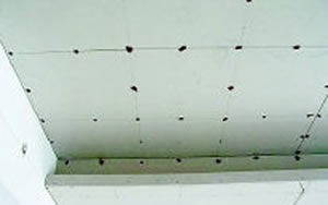 杜绝家居装修八大傻气错误/组图