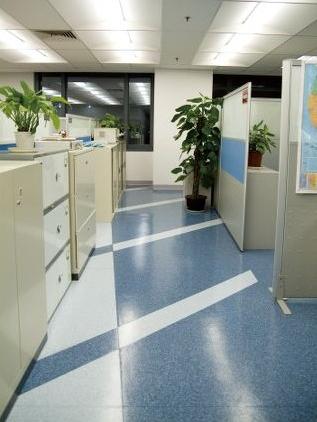 办公室公共办公区域铺装塑胶地板图